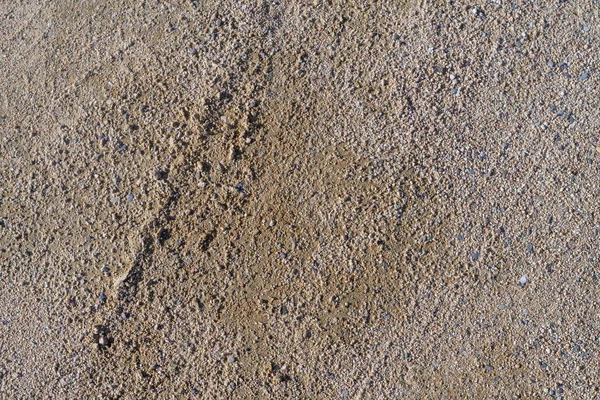 Tiro de ângulo alto de uma textura de pedra rochosa deserta do solo — Fotografia de Stock