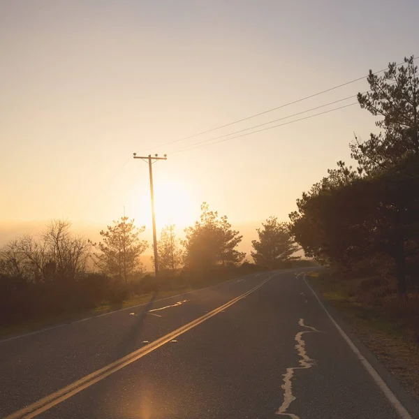 Estrada vazia cercada por árvores verdes com o belo nascer do sol no fundo — Fotografia de Stock