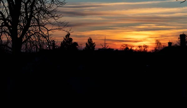 Bela paisagem de muitas árvores sob o deslumbrante céu do pôr-do-sol — Fotografia de Stock