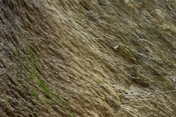 Textura de piedra en la montaña Medvednica en Zagreb, Croacia — Foto de Stock