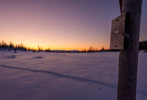 Drewno na polu pokrytym śniegiem z sylwetkami drzew na tle podczas zachodu słońca — Zdjęcie stockowe