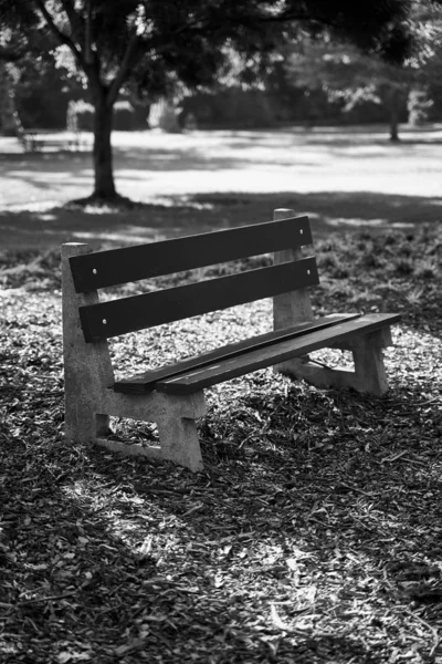 在背景模糊的公园里一张木制长椅的垂直灰度照片 — 图库照片