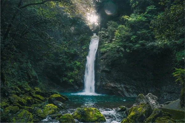 Vacker utsikt över ett vattenfall omgivet av växter och mossa täckt sten — Stockfoto