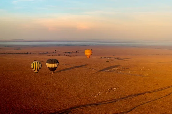 High Angle Shot Three Air Balloons Sunrise Masai Mara National — Stock Photo, Image