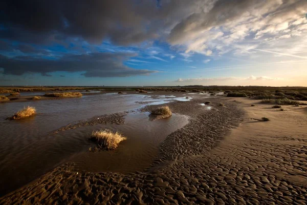 Marais salés et boues plates sous le ciel nuageux de Kwade Hoek, Pays-Bas — Photo