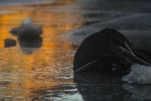 Black umbrella on a road during the rain with yellow city lights reflecting on it — Stock Photo, Image