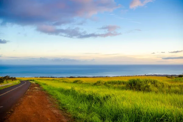 Prachtig beeld van een weg omringd door een groen veld onder de bewolkte lucht — Stockfoto