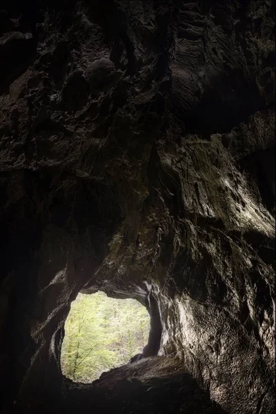 Inside look of the Muzeva Hizica cave with a view to a forest in Skrad in Croatia — Stock Photo, Image