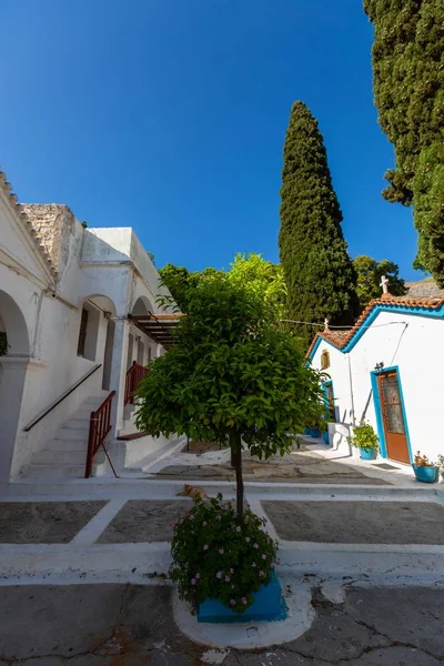 Verticaal beeld van de prachtige huizen door de hoge bomen gevangen in Samos, Griekenland — Stockfoto