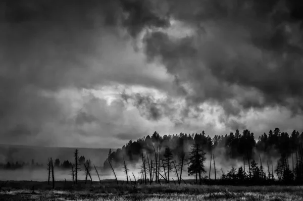 Greyscale shot of a smoky field under the dark gloomy sky perfect for a spooky scary background — Stock Photo, Image