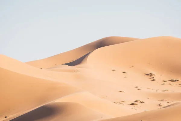 Krásné Písečné Duny Poušti Erg Chebbi Maroku Africe — Stock fotografie
