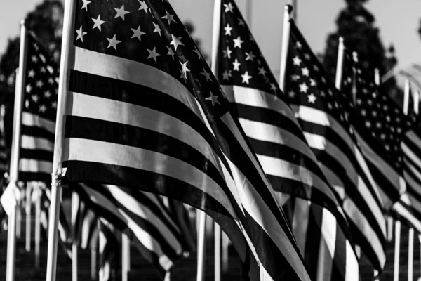 흐린 배경 과 햇빛 아래 땅 위에 미국 국기의 회색 주름 — 스톡 사진