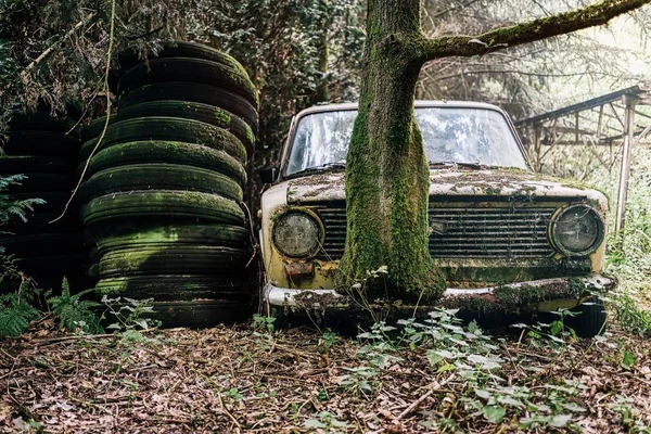 Zdjęcie porzuconego i porzuconego samochodu w lesie pod słońcem w Belgii — Zdjęcie stockowe