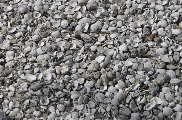 해변에 있는 다양 한 모양 과 크기의 암석 과 나선의 높은 각도 사진 — 스톡 사진