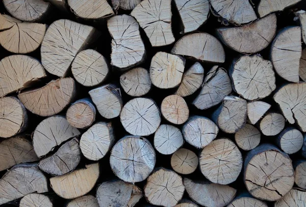 Background of a pile of a lot of wood - great for a cool background — Stock Photo, Image