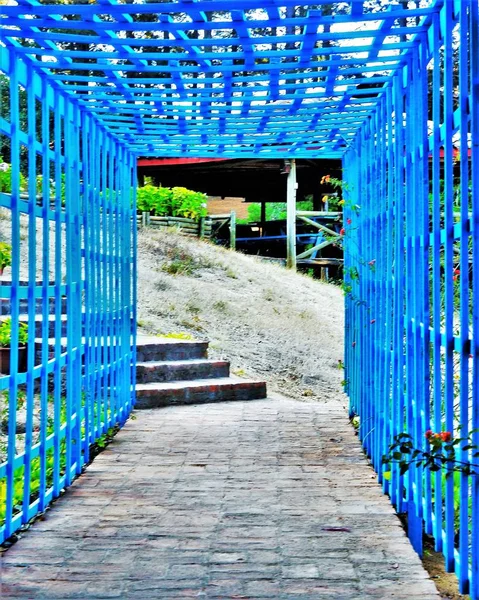 Vertical shot of a path with blue sides leading to a beautiful vacation — Stock Photo, Image