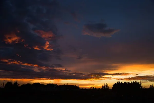 Hermosa silueta de una gama de árboles bajo el cielo impresionante puesta de sol — Foto de Stock