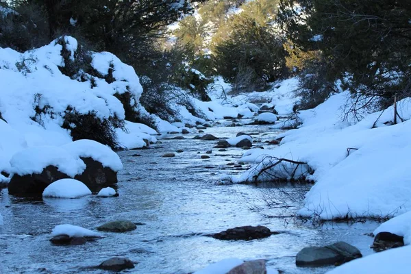 Rivière gelée coulant dans la forêt avec le sol couvert de neige — Photo