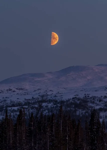 雪に覆われた山や森の上の月食の垂直画像 — ストック写真