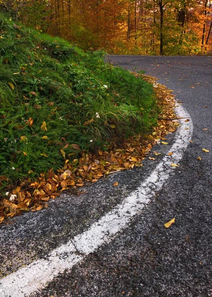 Plano Vertical Camino Sinuoso Montaña Medvednica Zagreb Croacia Otoño — Foto de Stock