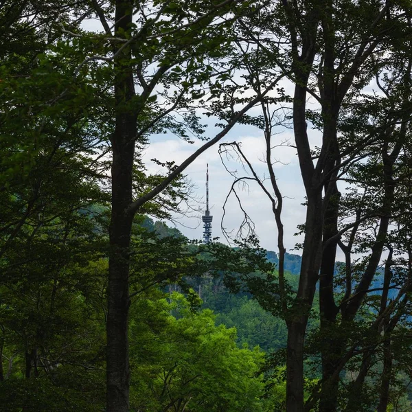 Landschap van een bos met een tv-toren op de berg Medvednica onder een bewolkte hemel in Zagreb — Stockfoto