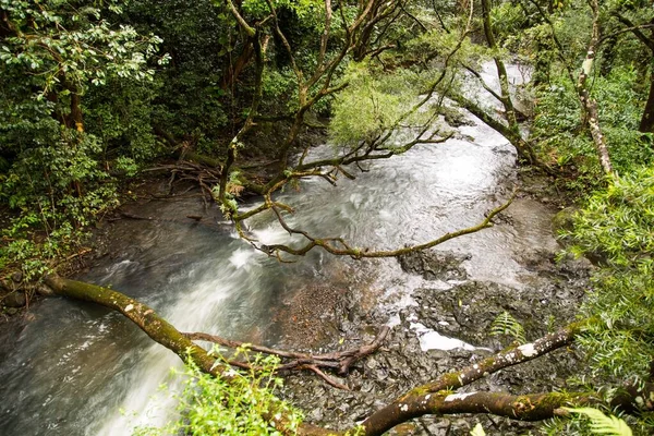 Hoge hoek opname van een rivier stroomt door rotsformaties in een bos met bomen leunend op het — Stockfoto