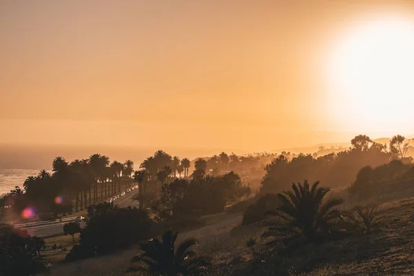 Hermoso paisaje de palmeras en las colinas cerca del mar con la puesta de sol en el fondo — Foto de Stock