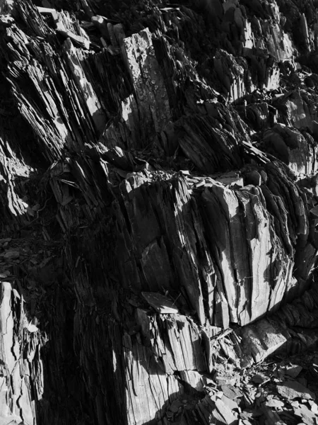 Escala gris vertical del bosque y las rocas — Foto de Stock