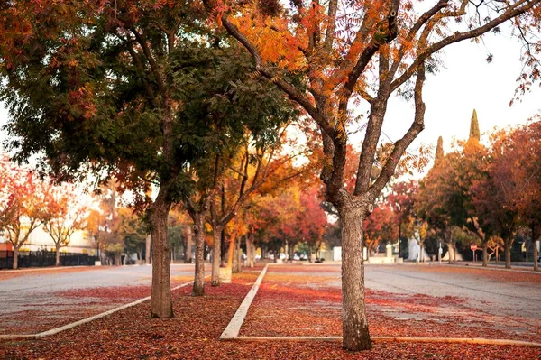 Warme Farben Als Tagesausbruch Fresno California — Stockfoto