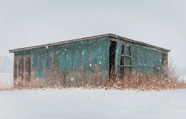 Une Vieille Cabane Bleue Bois Abandonnée Dans Une Zone Déserte — Photo