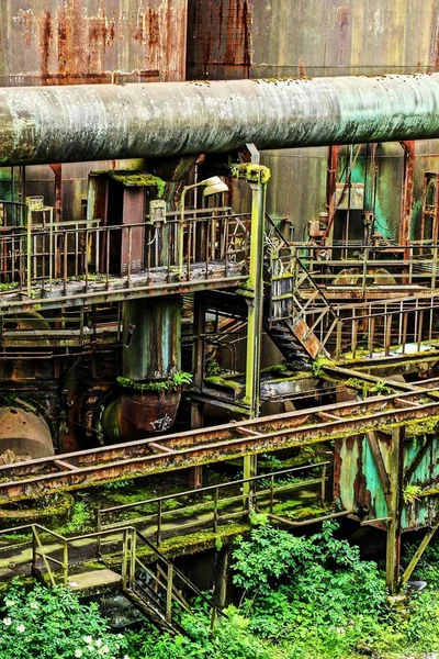 一株植物生长的废弃旧工厂的竖向拍摄 — 图库照片