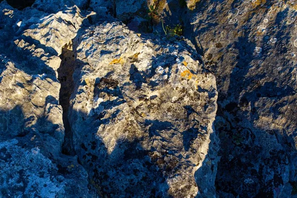 크로아티아의 리스 트리아에 있는 카멘 자 크 해안에서 높은 각도로 응고된 암석의 질감을 찍은 사진 — 스톡 사진