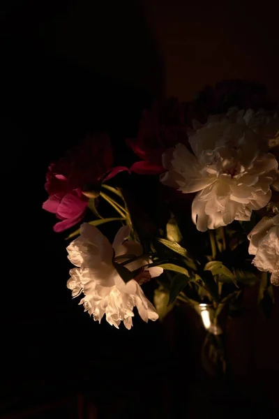 一朵美丽的花与粉红与白花的垂直照片 — 图库照片