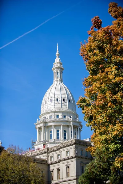 Vertical shot of the Michigan capital buildings with a blue sky in the background — 스톡 사진