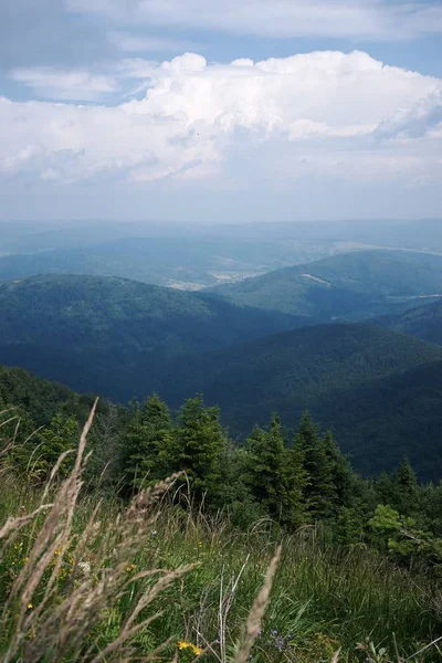 岩の多い山の美しい緑の風景の垂直ショット — ストック写真