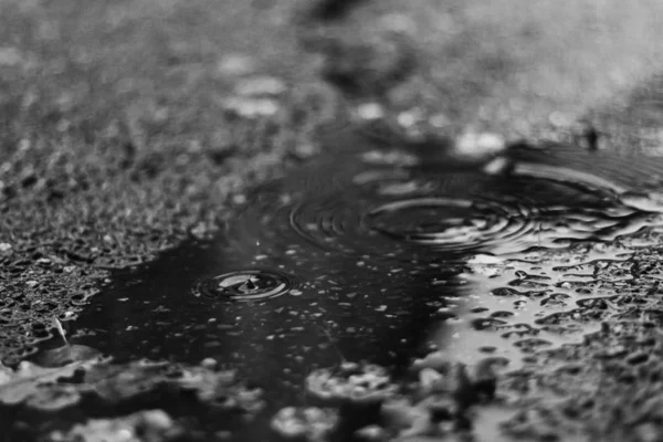 Капли Дождя Сером Цвете Падают Землю Выплескиваются Улицу — стоковое фото
