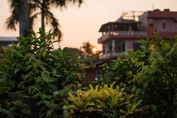 Piantagione verde con un alto edificio sullo sfondo all'alba — Foto Stock