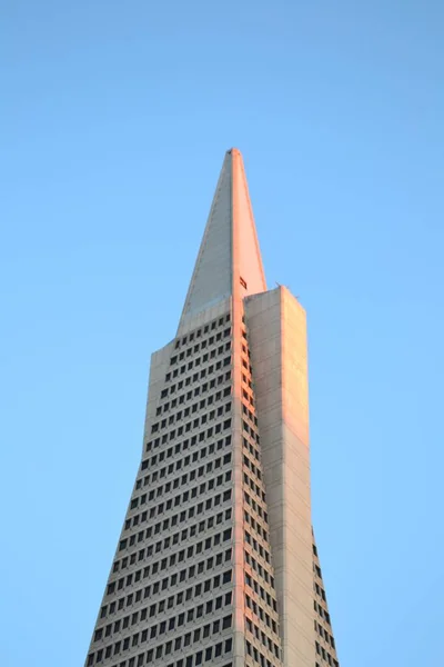 Captura de ángulo bajo de la torre Transamerica bajo un cielo azul durante el atardecer — Foto de Stock