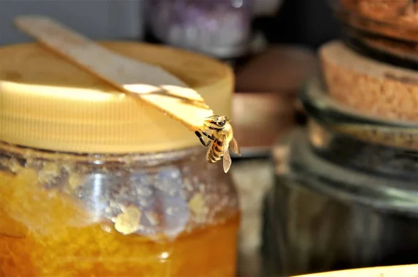 Close-up selectieve focus shot van een bij op een glazen pot vol honing — Stockfoto