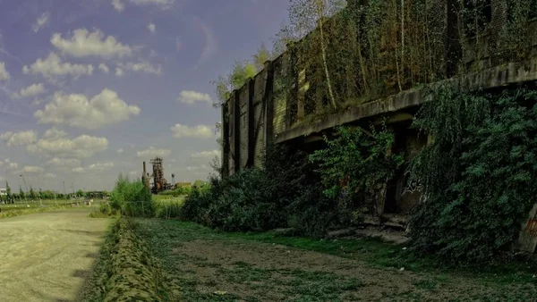 Edifício abandonado com árvores crescendo perto das paredes em um campo gramado sob um céu azul — Fotografia de Stock