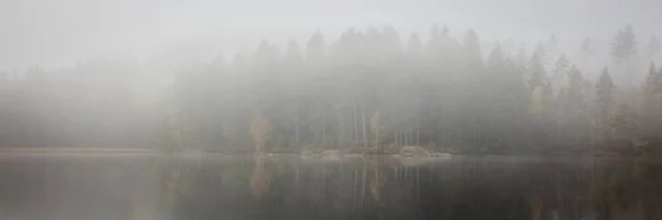 Panorámás kilátás egy hátborzongató és ködös tó egy erdő - tökéletes sötét horror forgatókönyvek — Stock Fotó