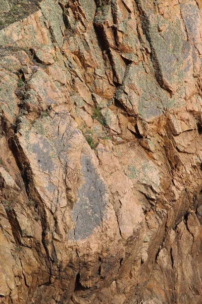 Vertikal närbild skott av en klippformation i mitten av en skog — Stockfoto