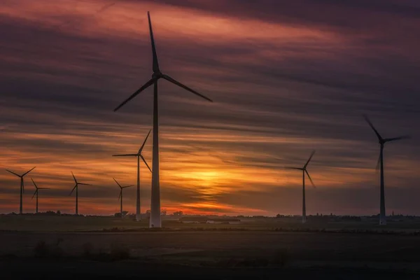 Low angle shot of a lot of windmills in the field under the beautiful sunset sky — Stock Photo, Image