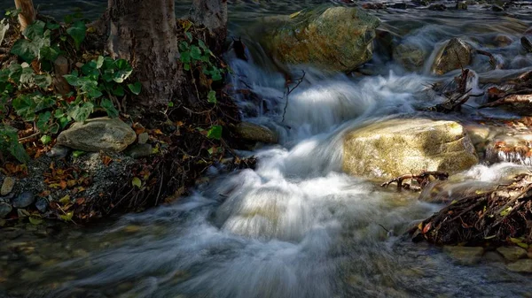 Rio espumoso correndo pelas pedras musgosas em uma floresta — Fotografia de Stock