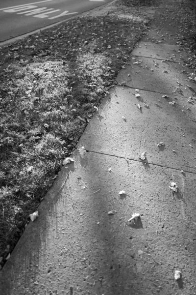 Vertical shot of autumn leaves fallen on the sidewalk — Stock Photo, Image