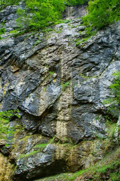 Вертикальная Картина Скальных Образований Окружении Зелени Перевале Дьявола Хорватии — стоковое фото