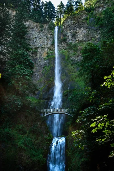 Multnomah Falls — Stock Photo, Image
