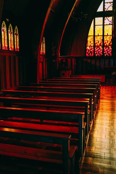 Vertical shot of the empty benches in a beautiful cathedral capture din France — 스톡 사진