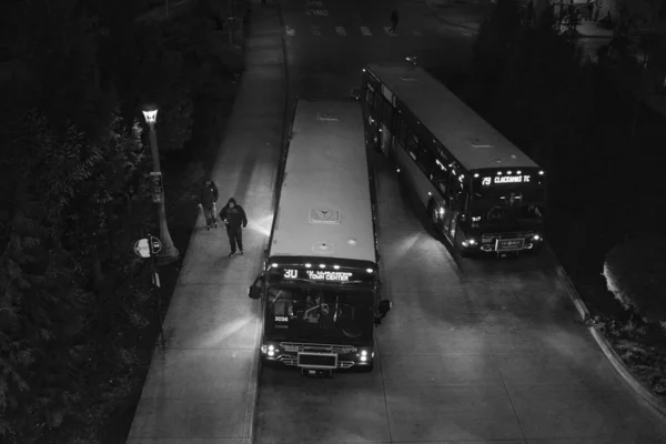 Scatto in scala di grigi ad angolo alto di due autobus per le strade di Portland catturati di notte — Foto Stock