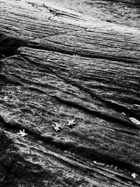 Vertical grey scale shot of a wooden surface — Stock Photo, Image